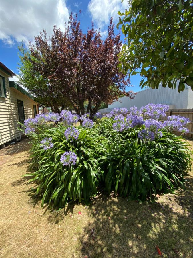 Delightful And Charming Rose Cottage Kilmore Exterior photo